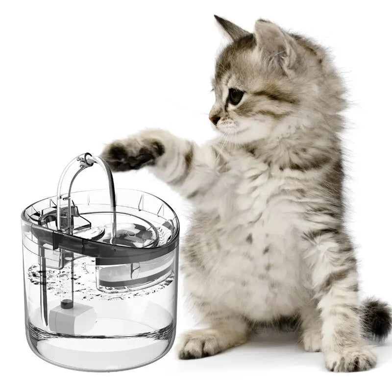 Intelligenter Haustier-Wasserspender: Automatische Frische für Haustiere