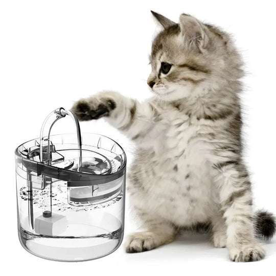 Intelligenter Haustier-Wasserspender: Automatische Frische für Haustiere