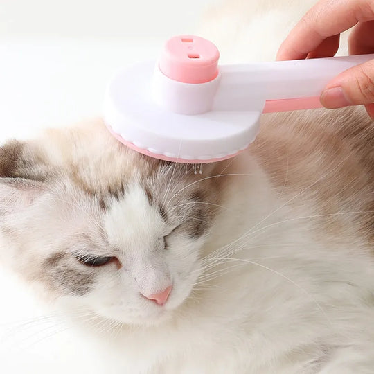 Fellpflege-Freude: Die ultimative Haarbürste für glückliche Katzen und Hunde!